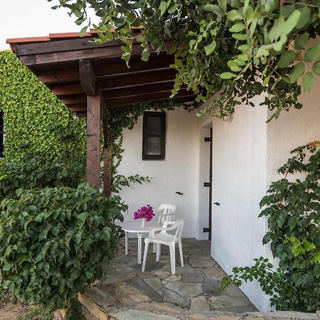 Ambelos Agia Pelagia  Room photo